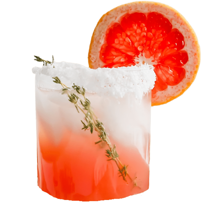 Citrus Paloma