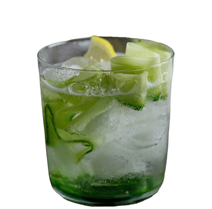 Gin & Tonic