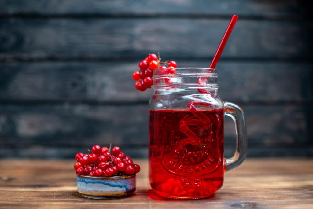 Professional cranberry mocktail